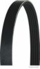 HERTH+BUSS JAKOPARTS J1054001 V-Ribbed Belts